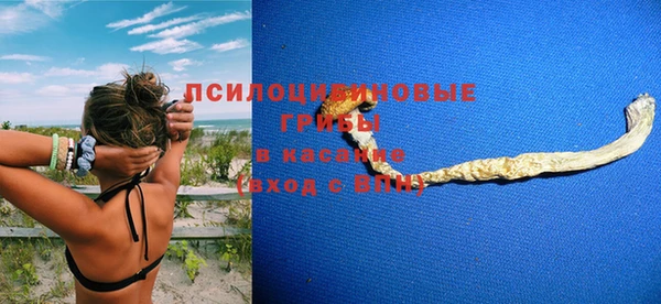 а пвп мука Пересвет