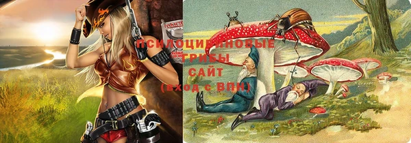 бутират Осинники