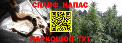 гидра Апрелевка