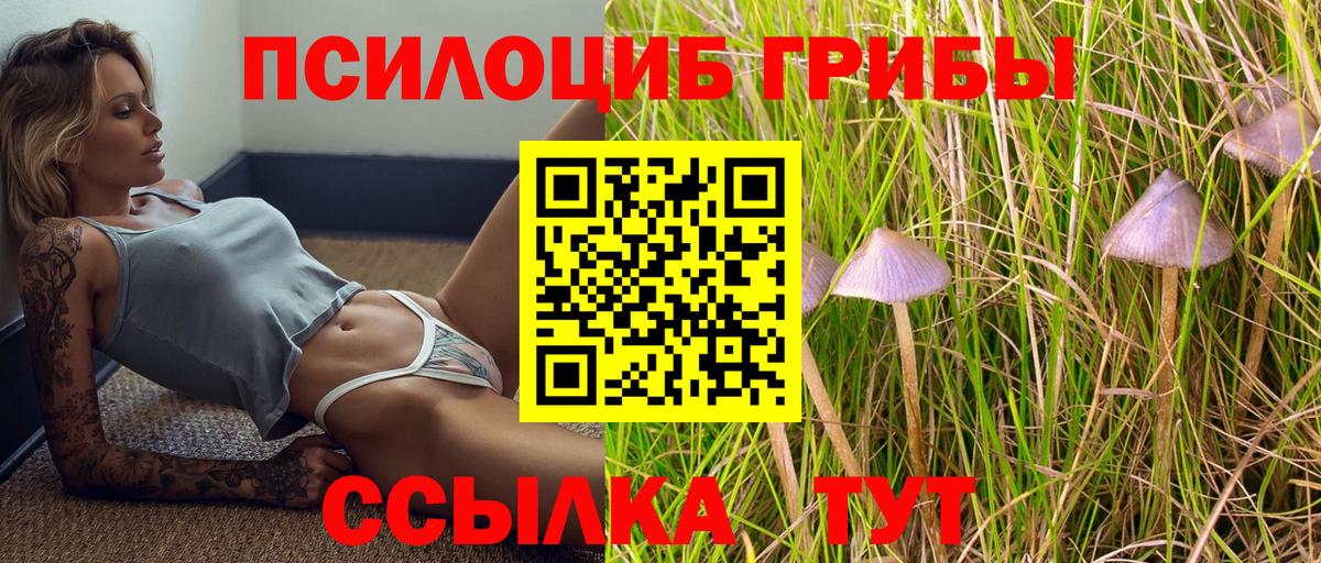 Кудымкар  Псилоцибиновые грибы мухоморы  Вход с VPN  Псилоцибиновые грибы GOLDEN TEACHER 