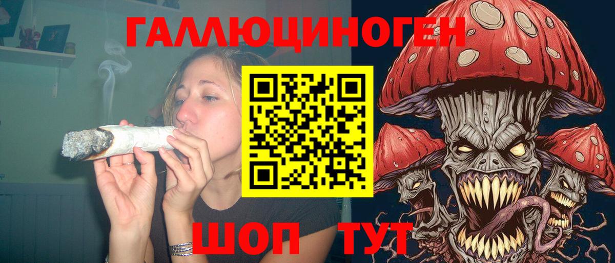 Галлюциногенные грибы GOLDEN TEACHER  Кудымкар 