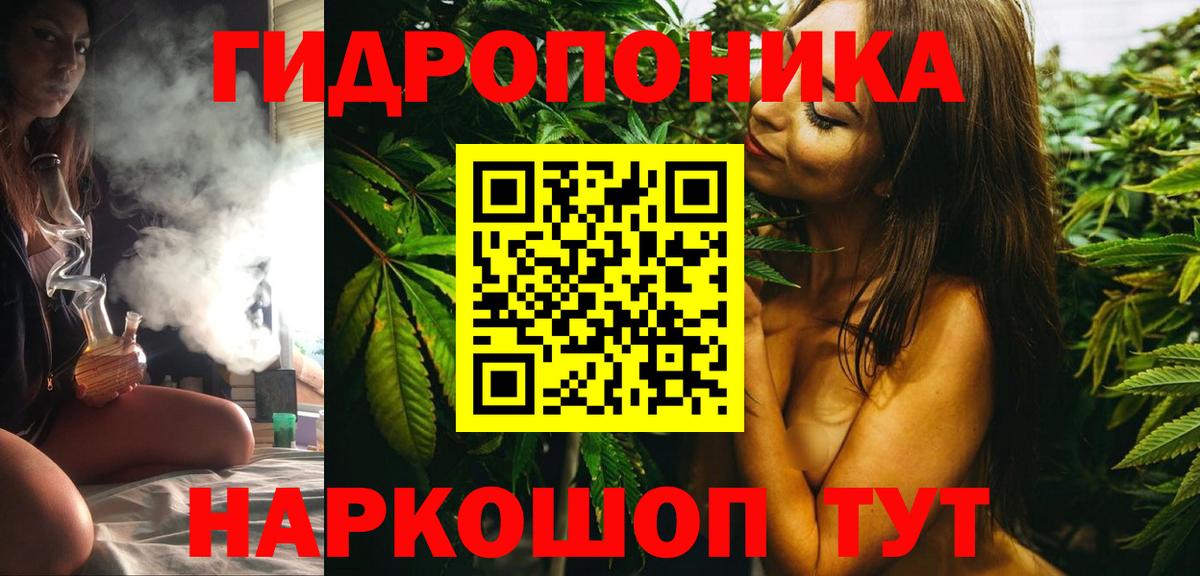 Бошки Шишки конопля Кудымкар